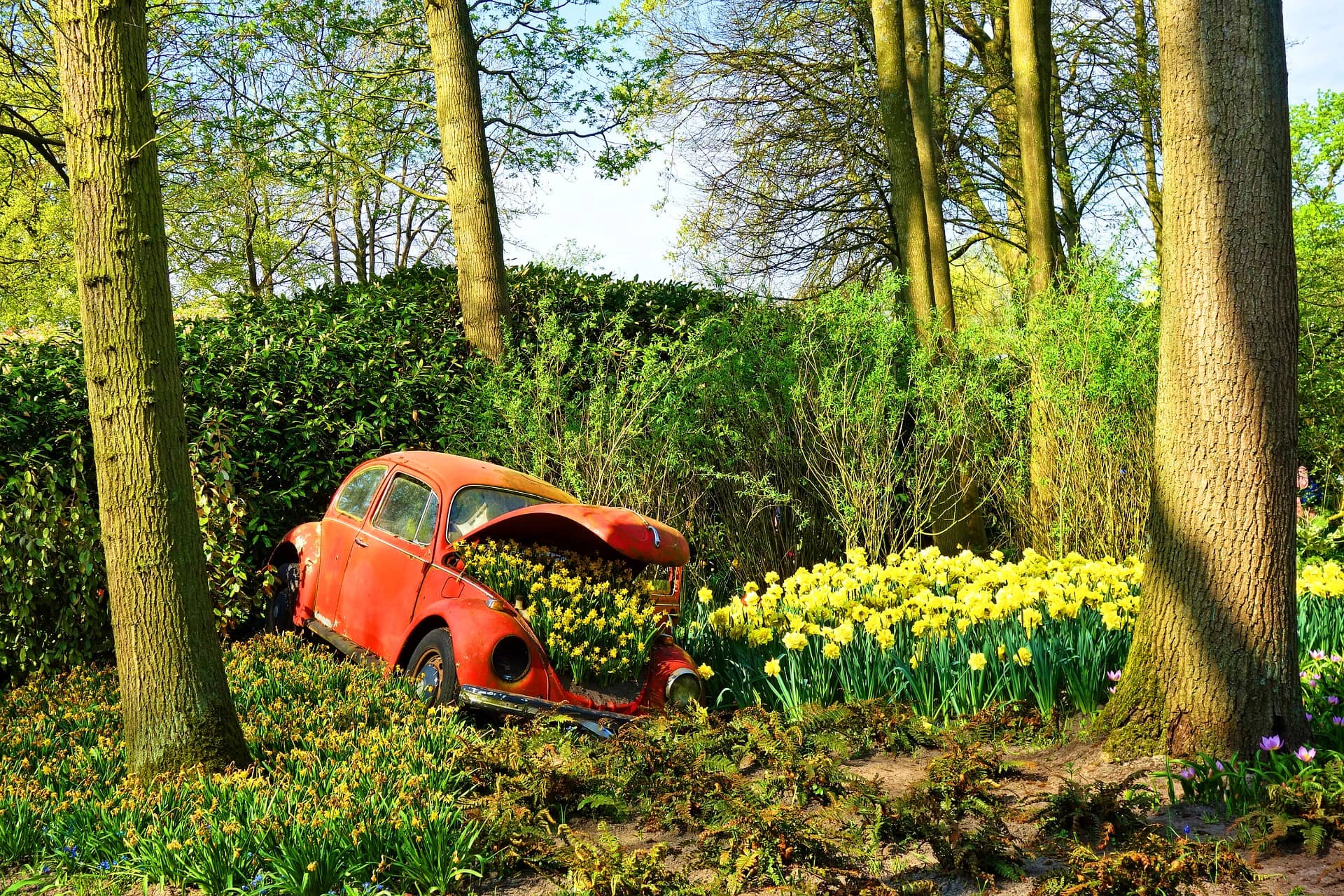 I’m thinking of converting my front garden into parking space. Can I just go ahead and do it?